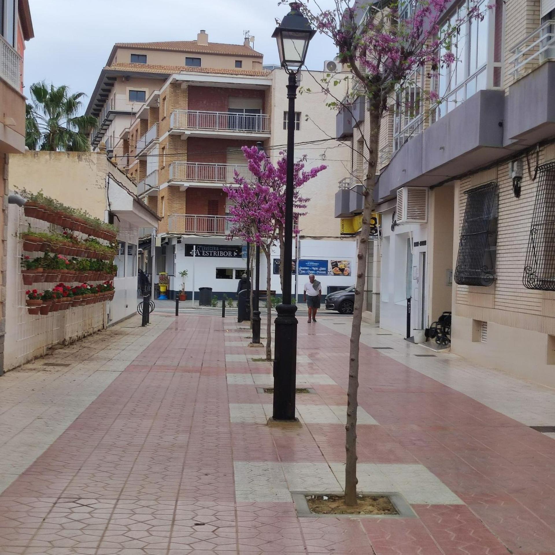 Costa Ii Apartment Los Alcazares